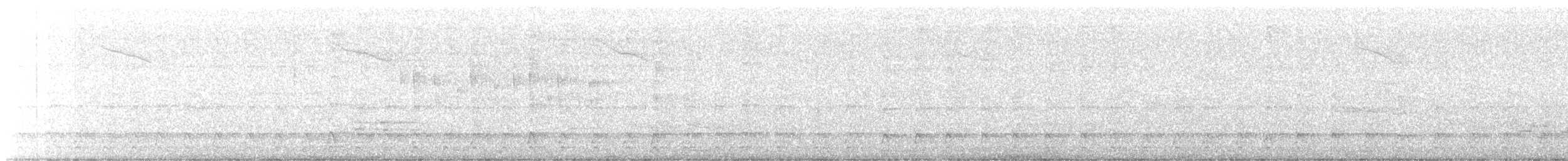 hvitbrynsvartspett - ML619154961