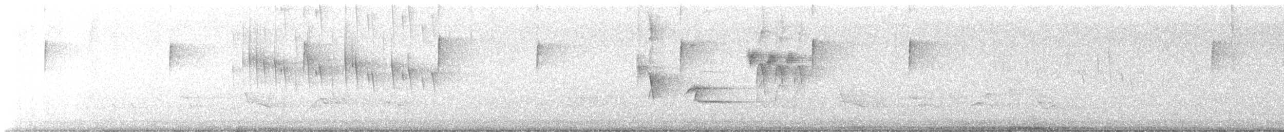 rødsidetovi - ML619155023