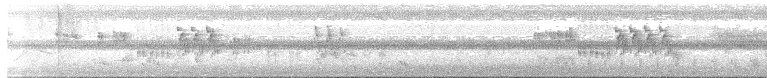 Streifenschwirl - ML619155302