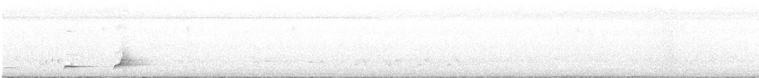 Northern Bobwhite - ML619155428