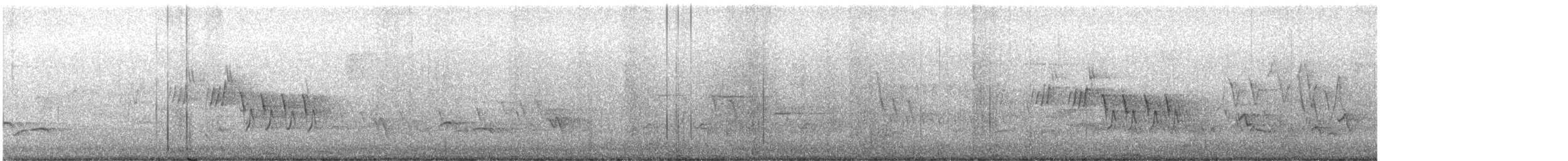 Черногорлая хвойница - ML619155988