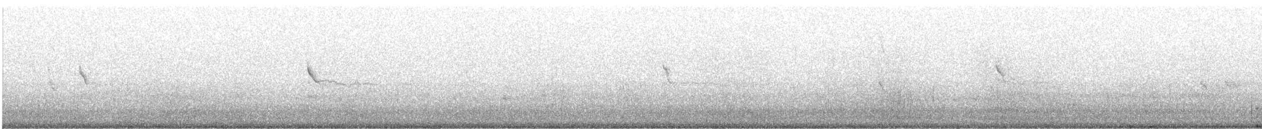 Clapper Rail - ML619156019
