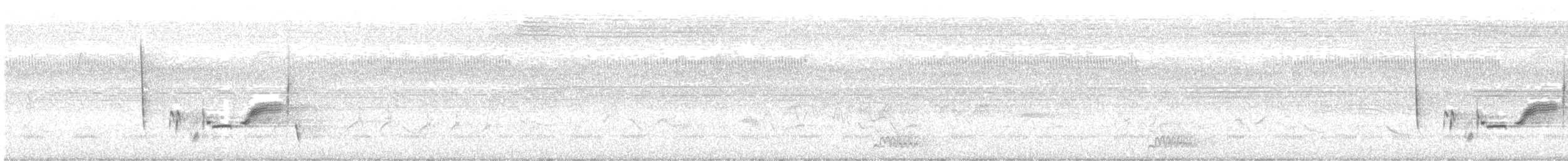 White-eyed Vireo - ML619156487