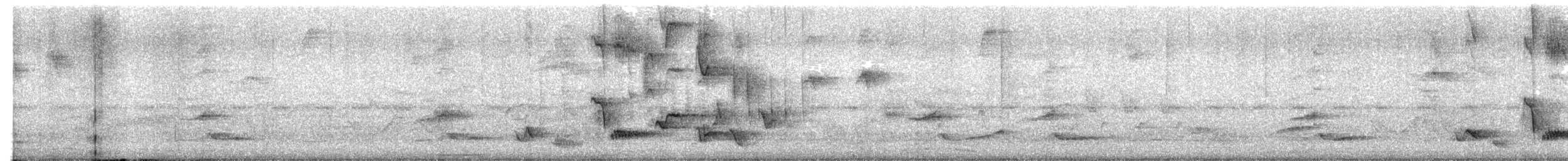 Пересмішник білочеревий - ML619158182