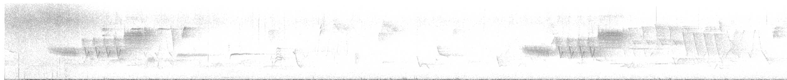 Cerulean Warbler - ML619158425