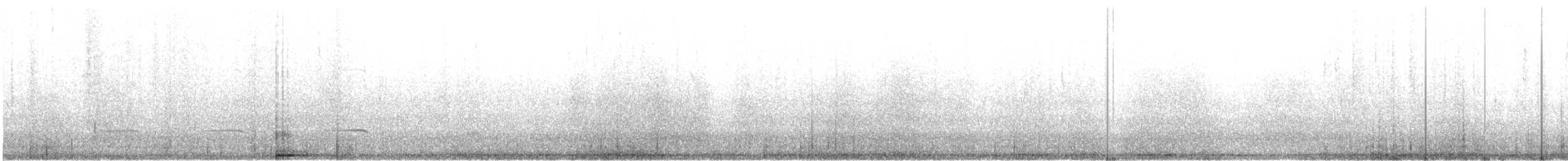 Ibis txoriandrea (boavistae) - ML619159906