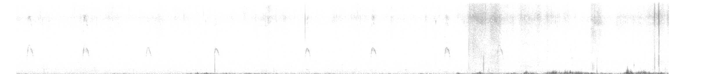 Синекрылый чирок - ML619160415