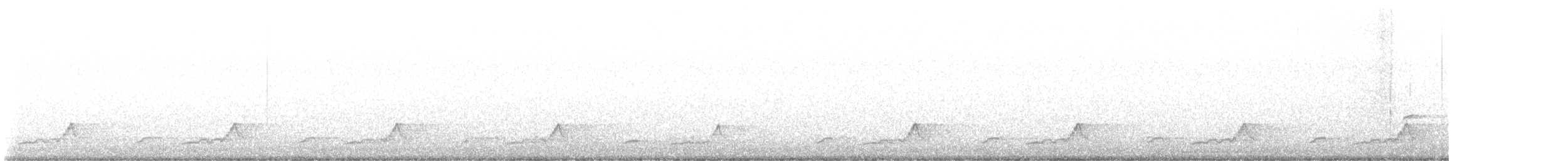 Schwarzkehl-Nachtschwalbe - ML619160531