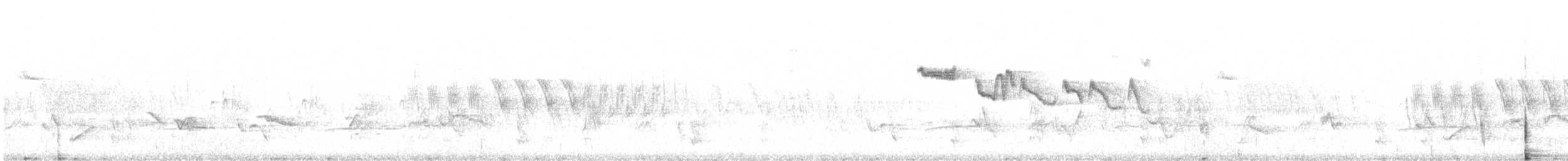 Amerika Tırmaşıkkuşu (albescens/alticola) - ML619160925
