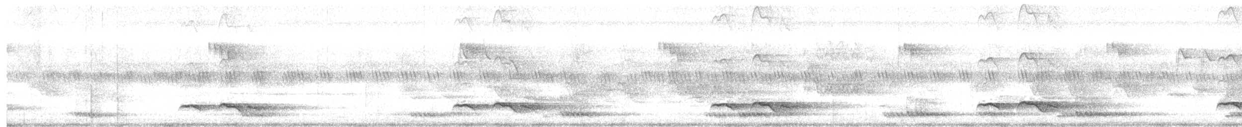 Зозуля білогорла - ML619161759