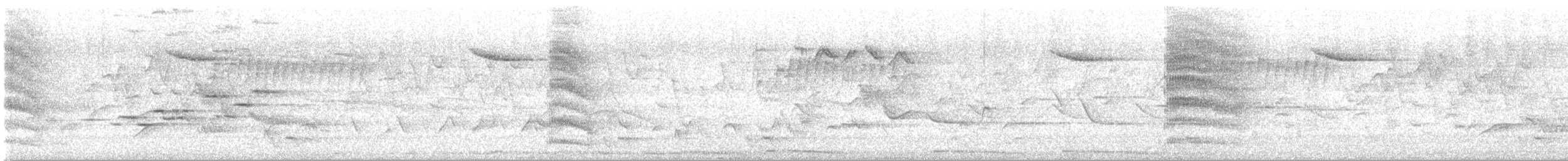 Белошейная веерохвостка - ML619162915