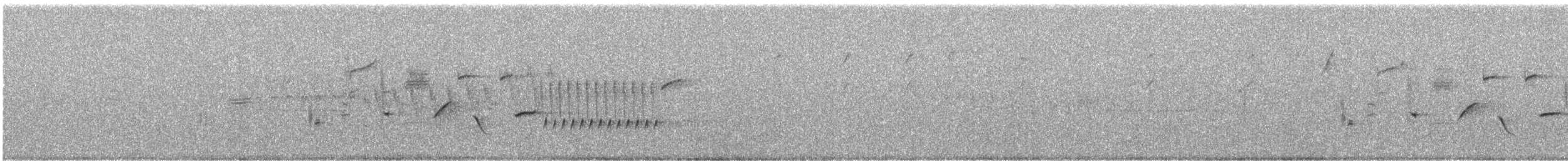 Длиннохвостый крапивник - ML619163865