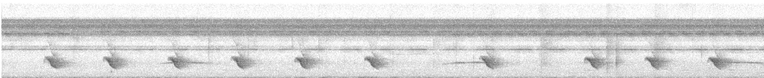 Dugand Karıncaçıvgını - ML619164757