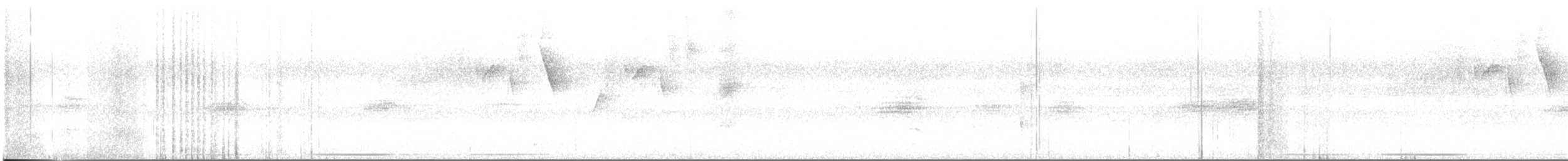 holub bledočelý - ML619164888
