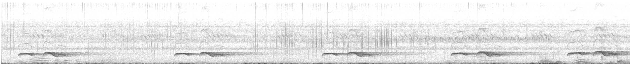 Зозуля білогорла - ML619165025