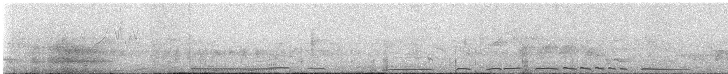 holub klínoocasý - ML619165087