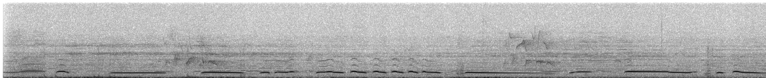 holub klínoocasý - ML619165088