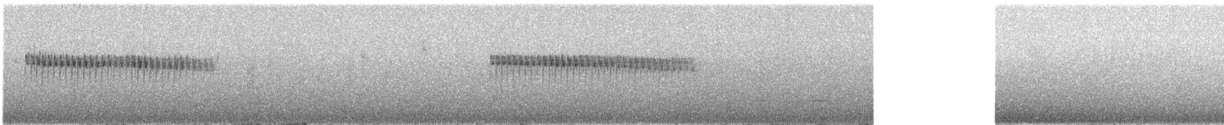 Percefleur à flancs blancs - ML619165359