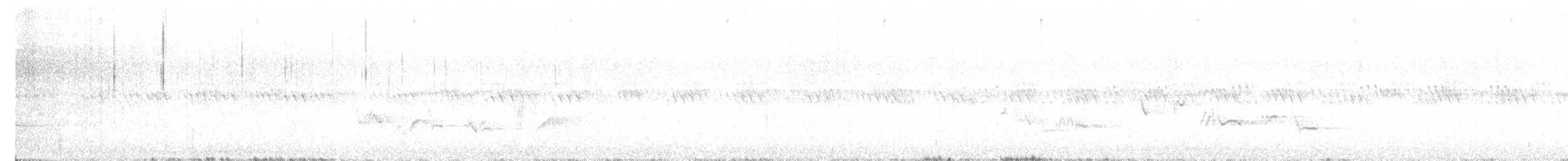 gråsolitærtrost - ML619165402