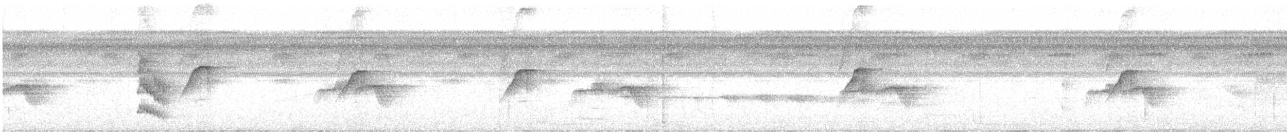 Weißflecken-Ameisenwächter - ML619165415