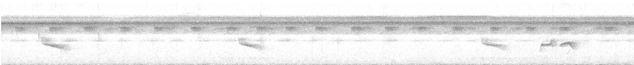 Weißflecken-Ameisenwächter - ML619165416
