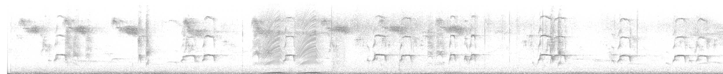 Кулик-сорока євразійський (підвид ostralegus/longipes) - ML619166627