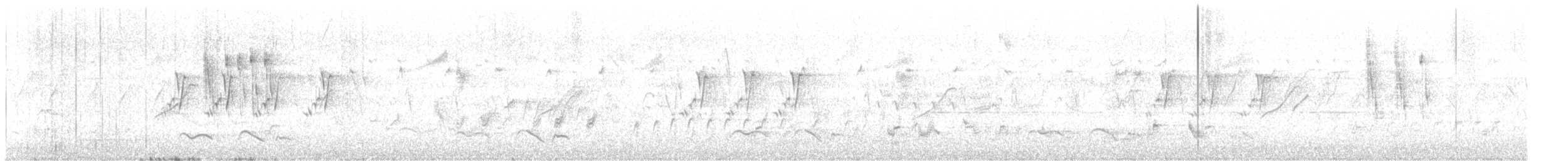 Зозуля білогорла - ML619168744