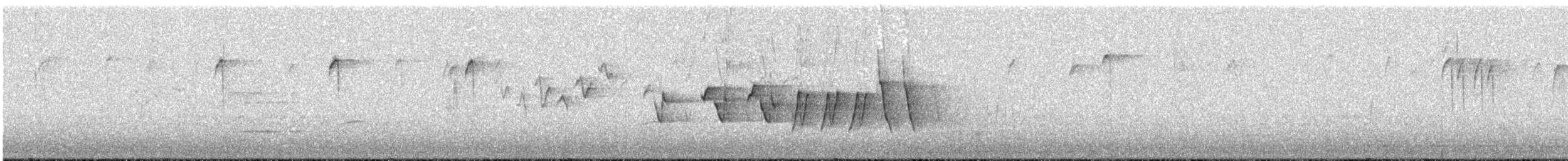 Northern Waterthrush - ML619170341