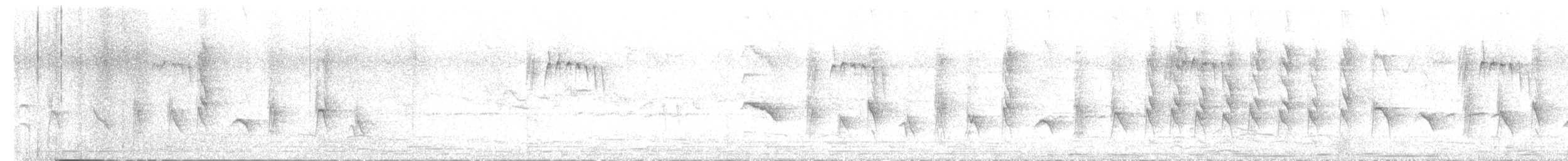 דרונגו עשנוני - ML619171324