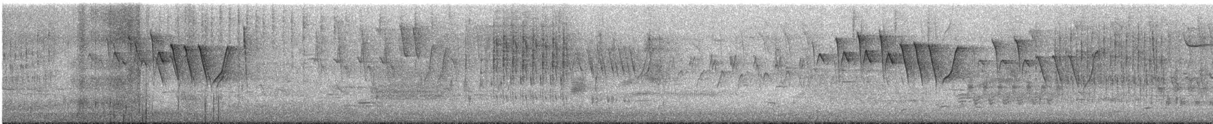 Troglodyte des marais - ML619171622