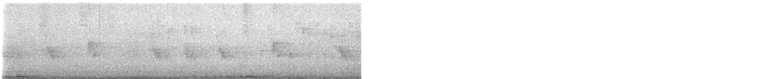 holub skalní (domácí) - ML619171764