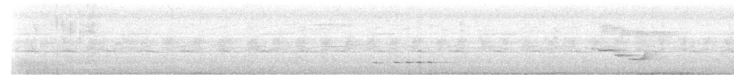 hvitbrystfulvetta - ML619172162
