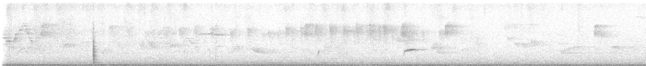 Дрізд-короткодзьоб Cвенсона - ML619172247