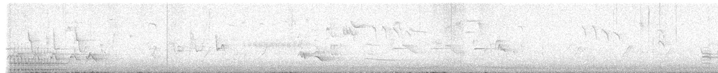 strakapoud velký - ML619172265