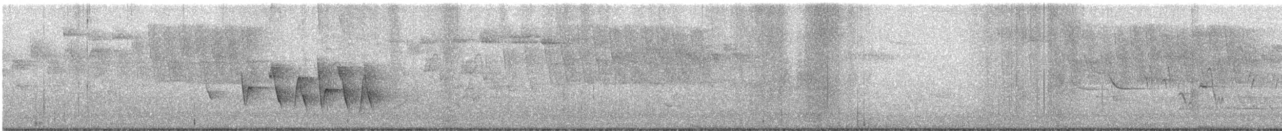 Paruline à gorge grise - ML619172266