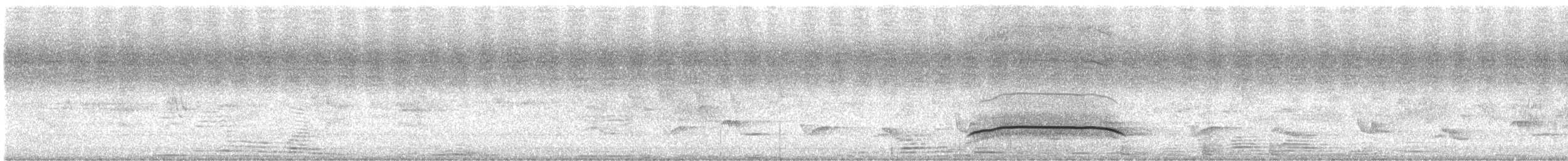 シンジュトビ - ML619172923