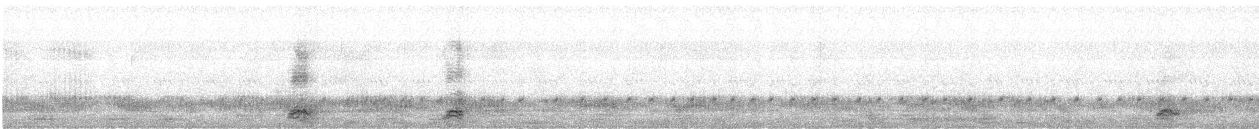 Black-crowned Night Heron - ML619173561