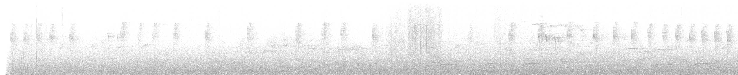 Желтоватая широкохвостка - ML619175274