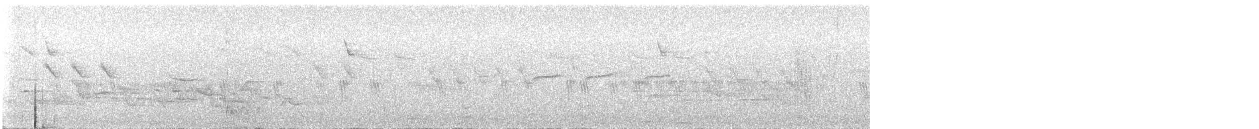 Шишкар ялиновий (підвид corsicana) - ML619175871