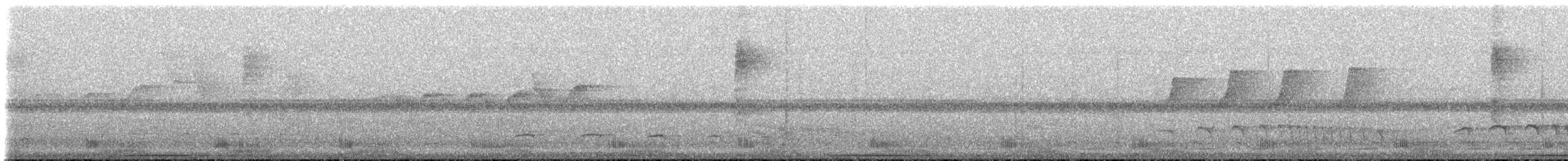 フイリコチュウハシ - ML619175886