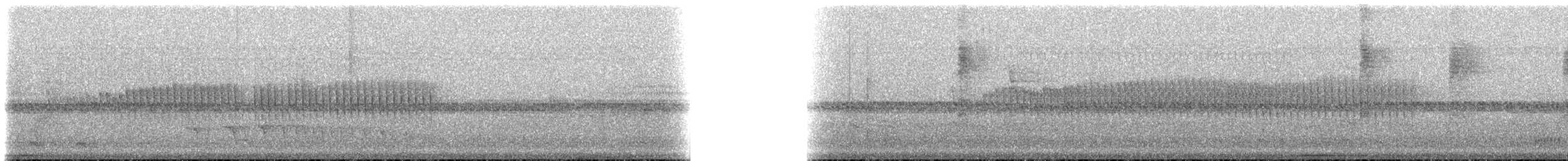 Çizgili Başlı Karıncakuşu - ML619175983