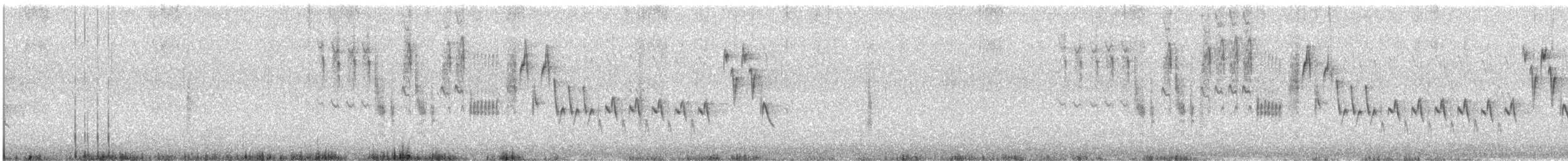 Troglodyte familier - ML619177203