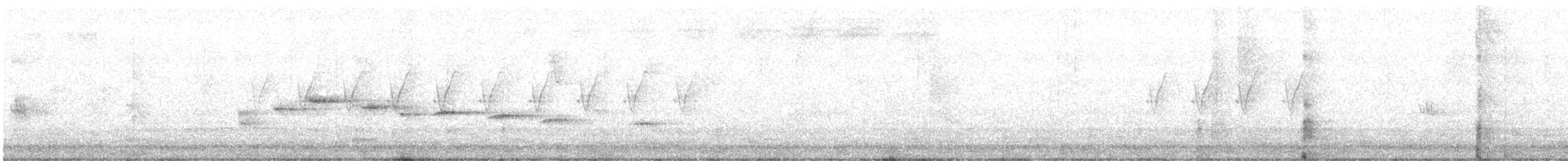 Белогорлая веерохвостка - ML619177249