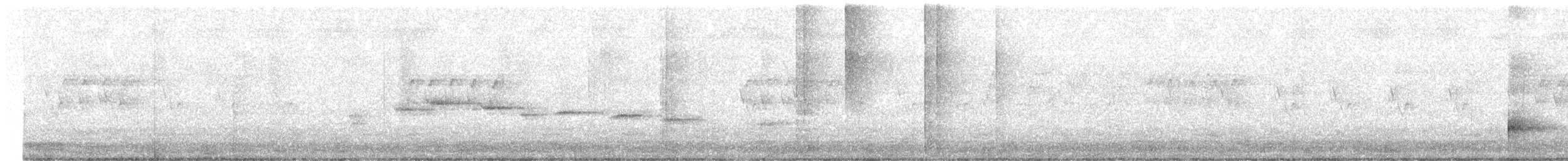Белогорлая веерохвостка - ML619177258