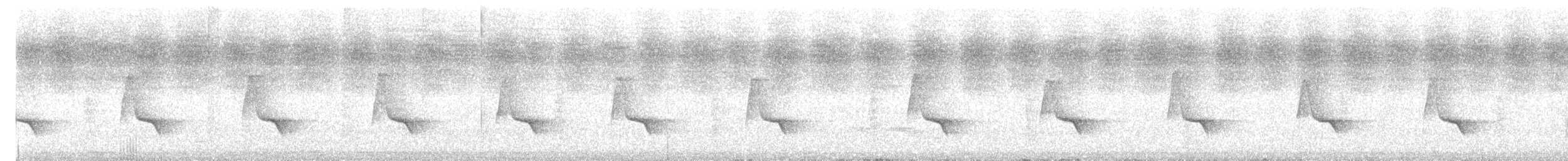 langhaleskredderfugl - ML619177937