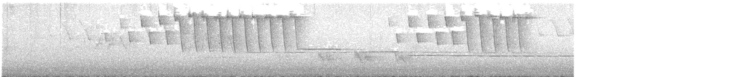 סבכון טנסי - ML619178927