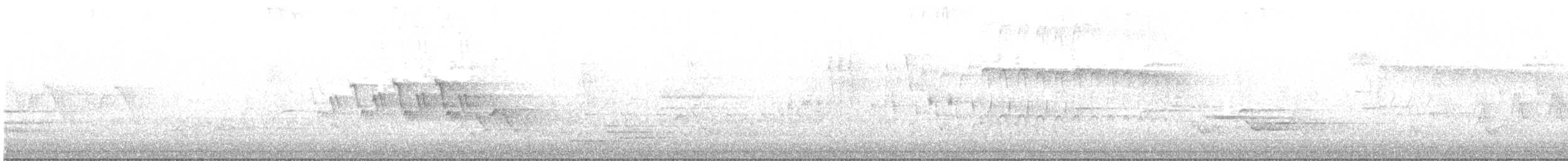 Черногорлая хвойница - ML619179187