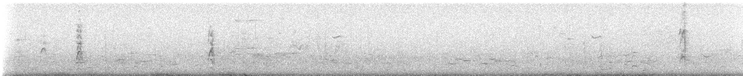 Black Tern - ML619179635