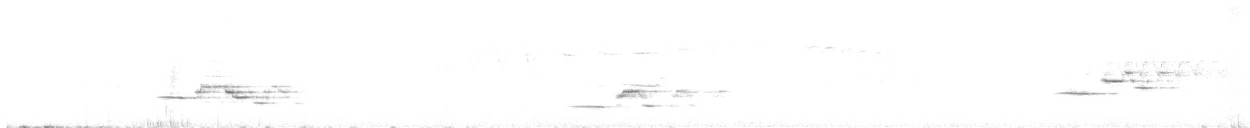 Дрізд-короткодзьоб плямистоволий - ML619180047