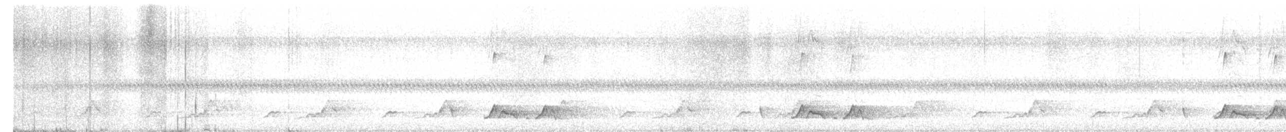 Schwarzkehl-Nachtschwalbe - ML619180050